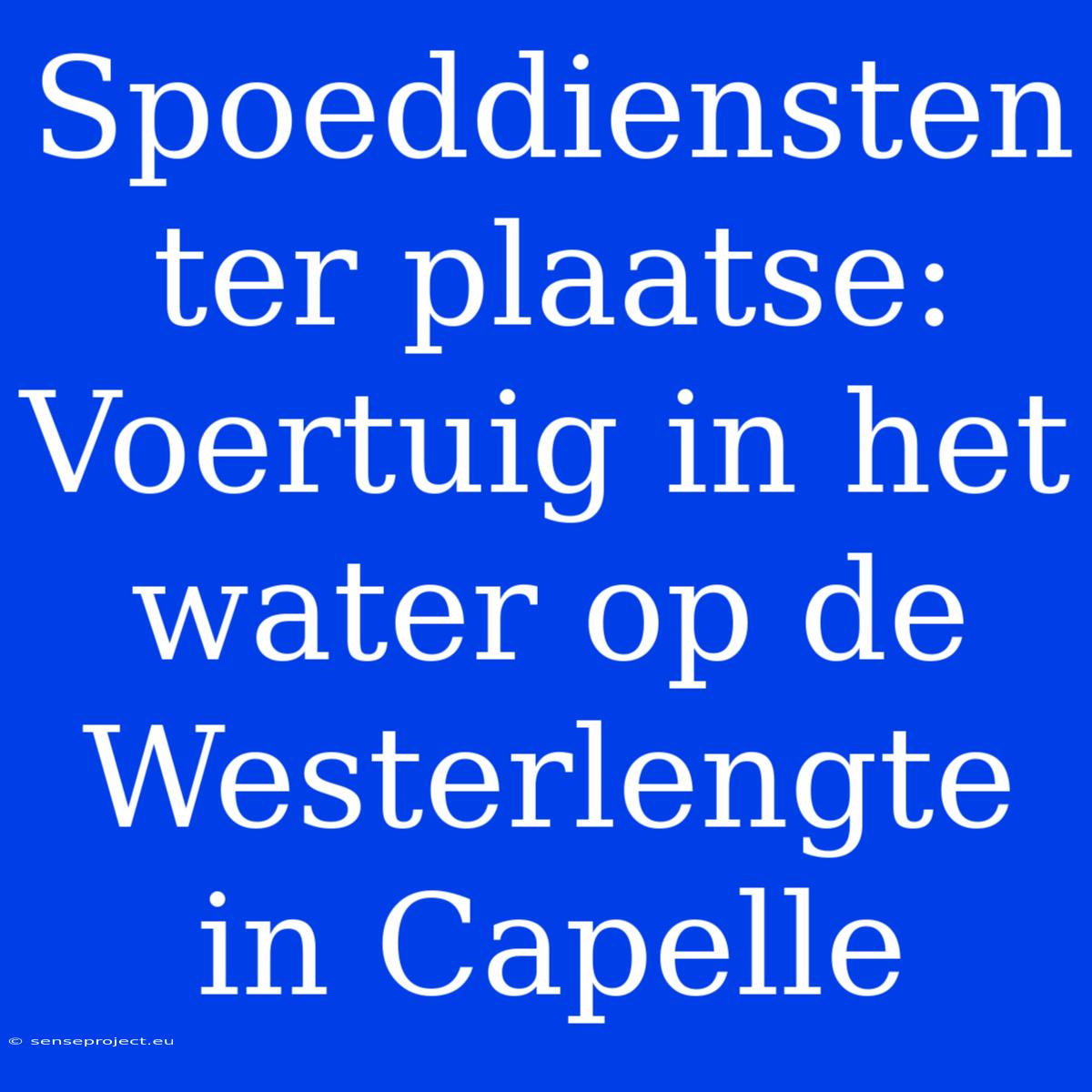 Spoeddiensten Ter Plaatse: Voertuig In Het Water Op De Westerlengte In Capelle