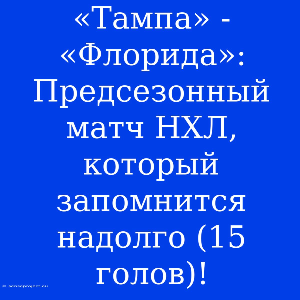 «Тампа» - «Флорида»: Предсезонный Матч НХЛ, Который Запомнится Надолго (15 Голов)!