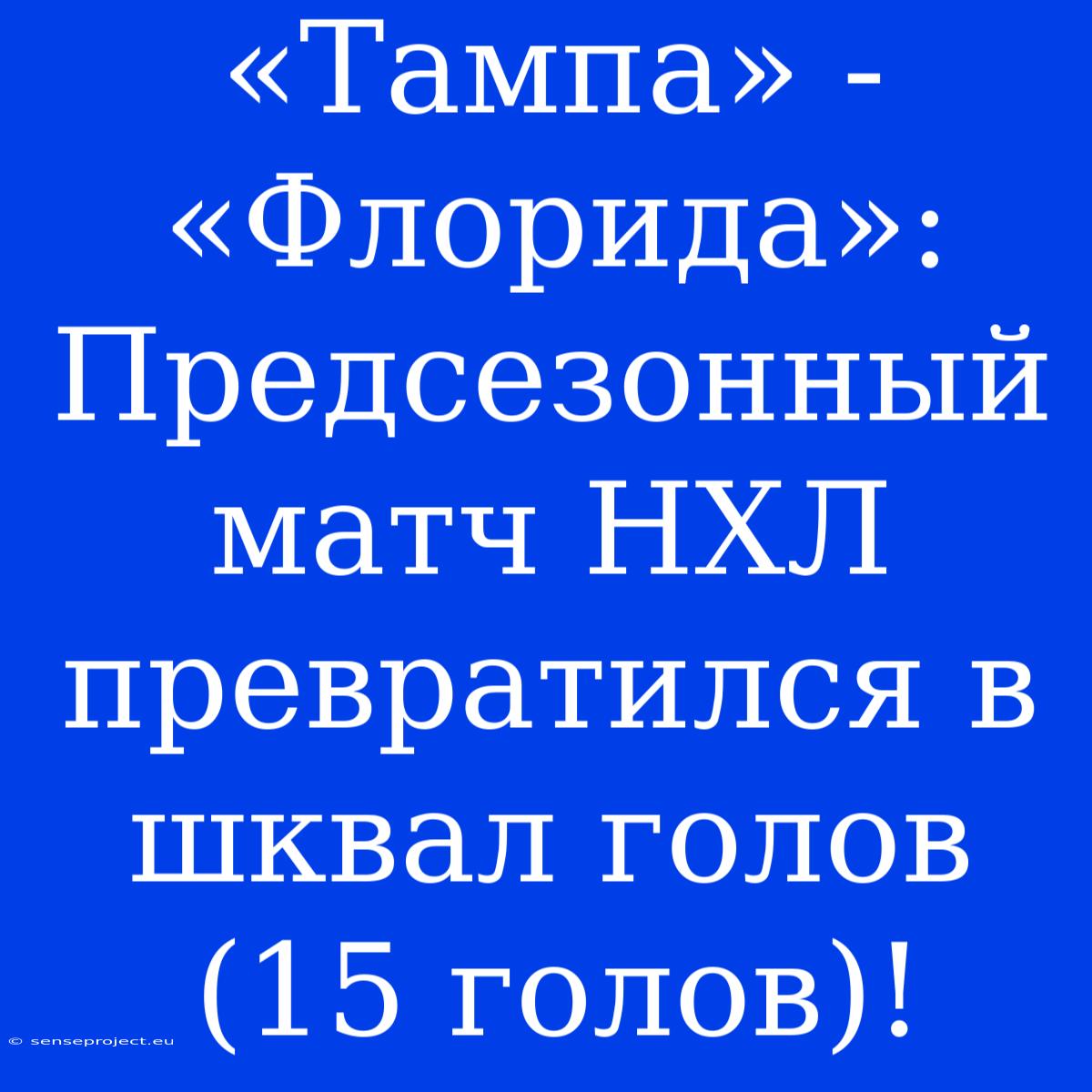 «Тампа» - «Флорида»: Предсезонный Матч НХЛ Превратился В Шквал Голов (15 Голов)!