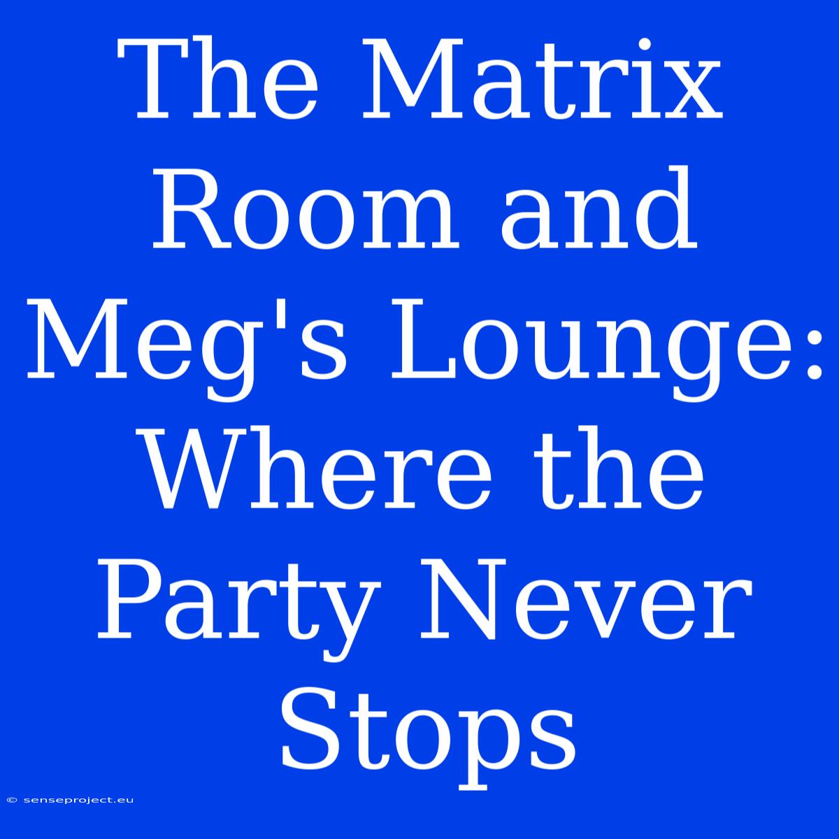 The Matrix Room And Meg's Lounge: Where The Party Never Stops