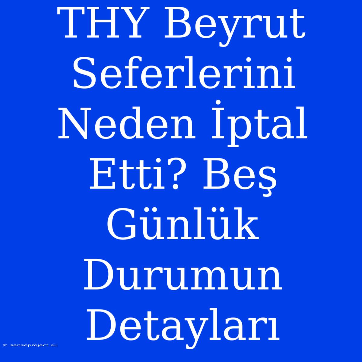 THY Beyrut Seferlerini Neden İptal Etti? Beş Günlük Durumun Detayları