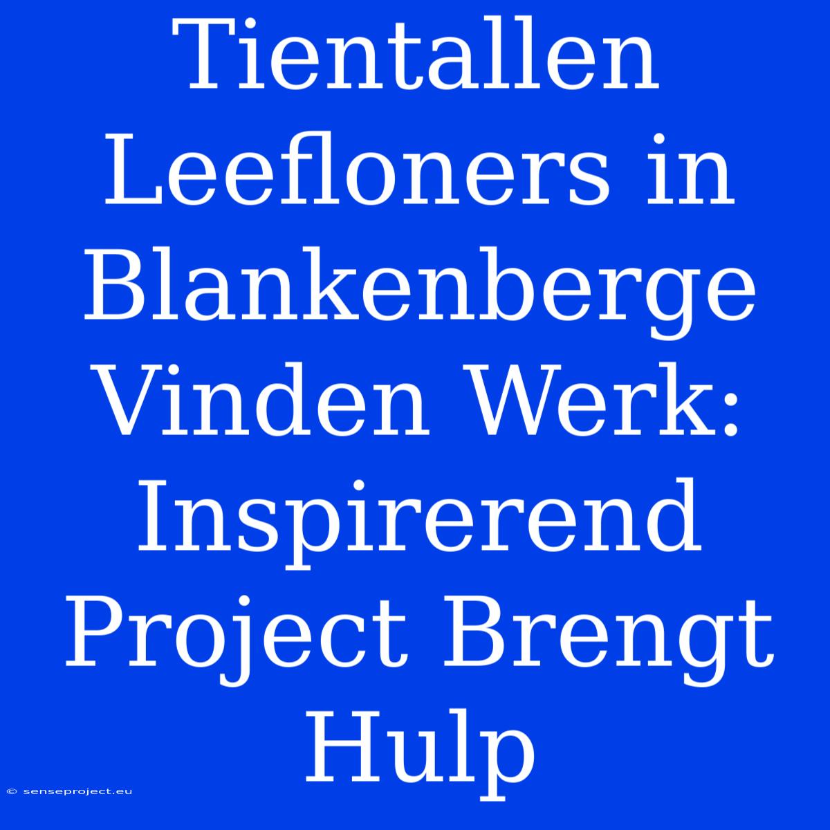 Tientallen Leefloners In Blankenberge Vinden Werk: Inspirerend Project Brengt Hulp