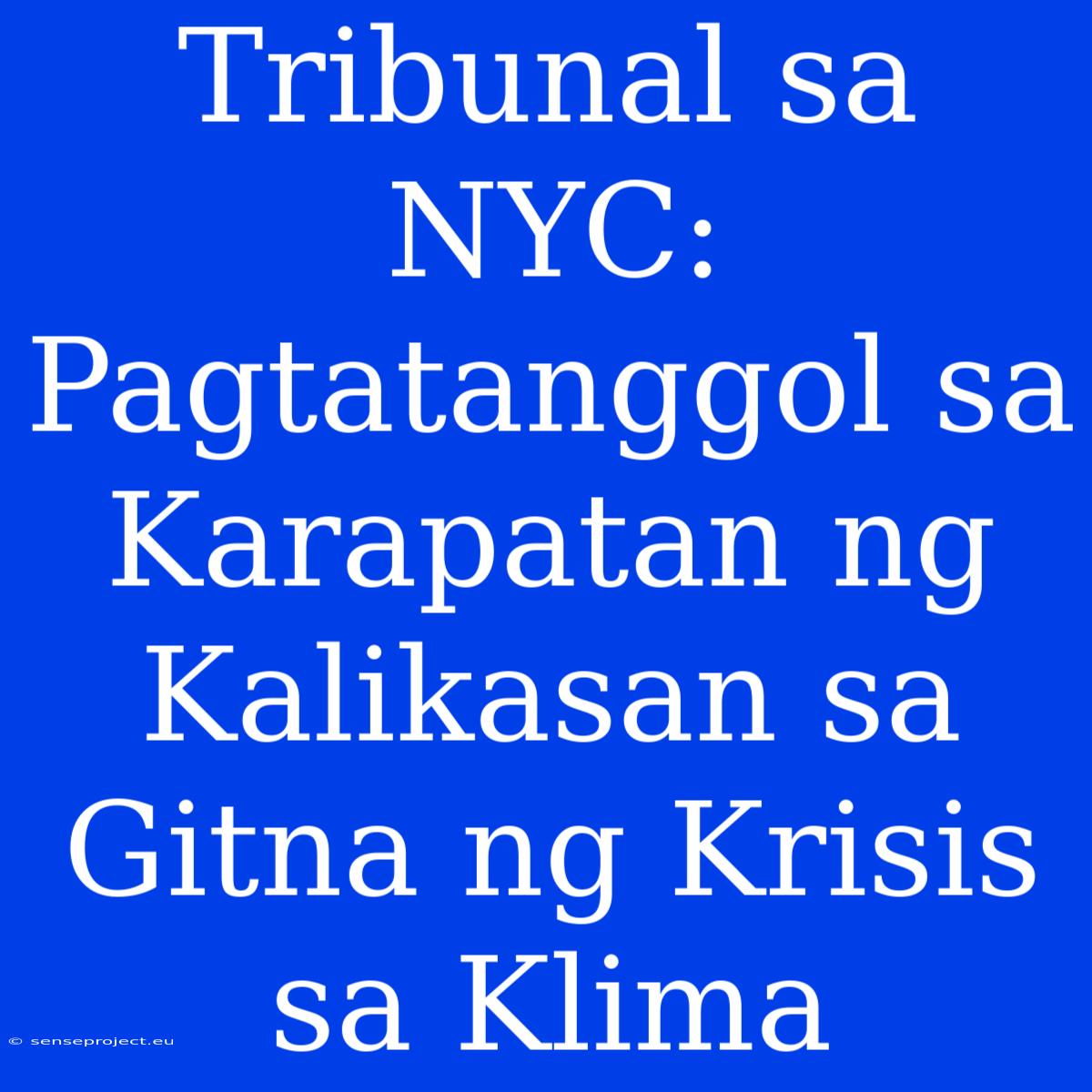 Tribunal Sa NYC: Pagtatanggol Sa Karapatan Ng Kalikasan Sa Gitna Ng Krisis Sa Klima