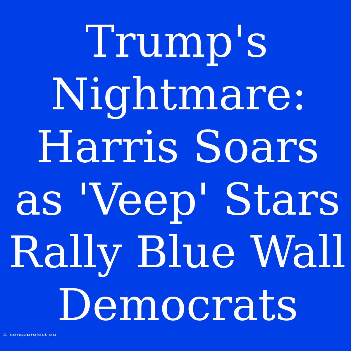 Trump's Nightmare: Harris Soars As 'Veep' Stars Rally Blue Wall Democrats