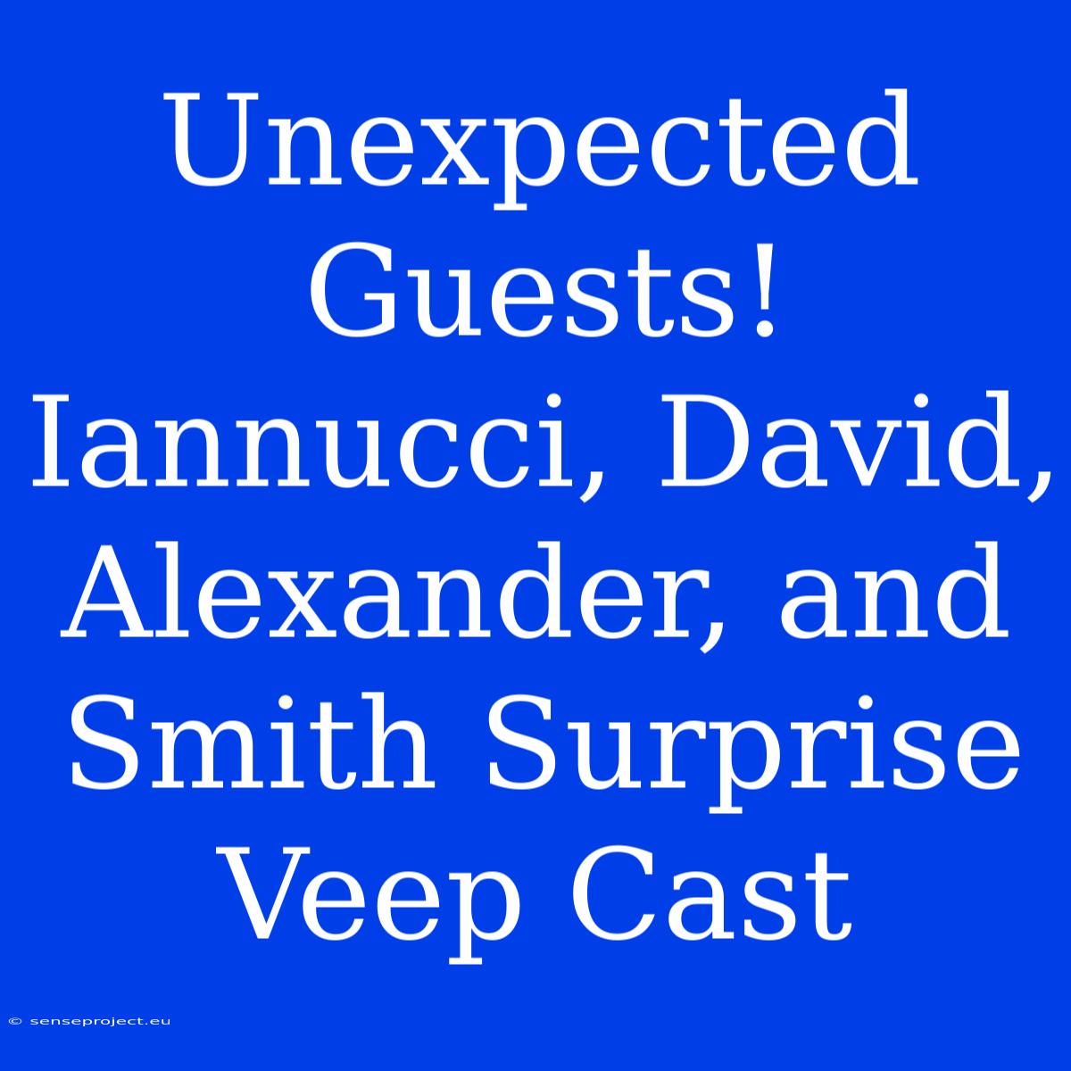 Unexpected Guests! Iannucci, David, Alexander, And Smith Surprise Veep Cast