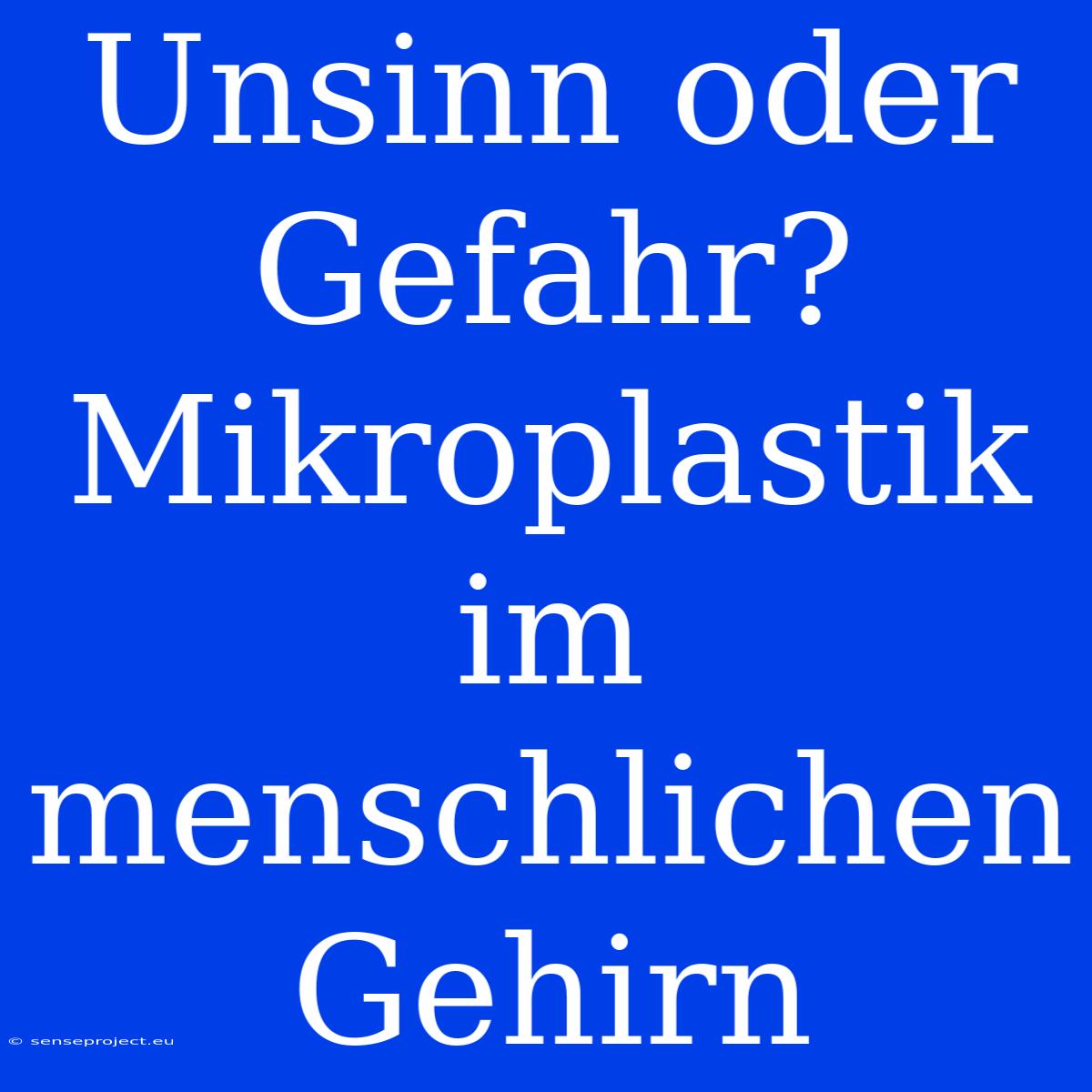 Unsinn Oder Gefahr?  Mikroplastik Im Menschlichen Gehirn