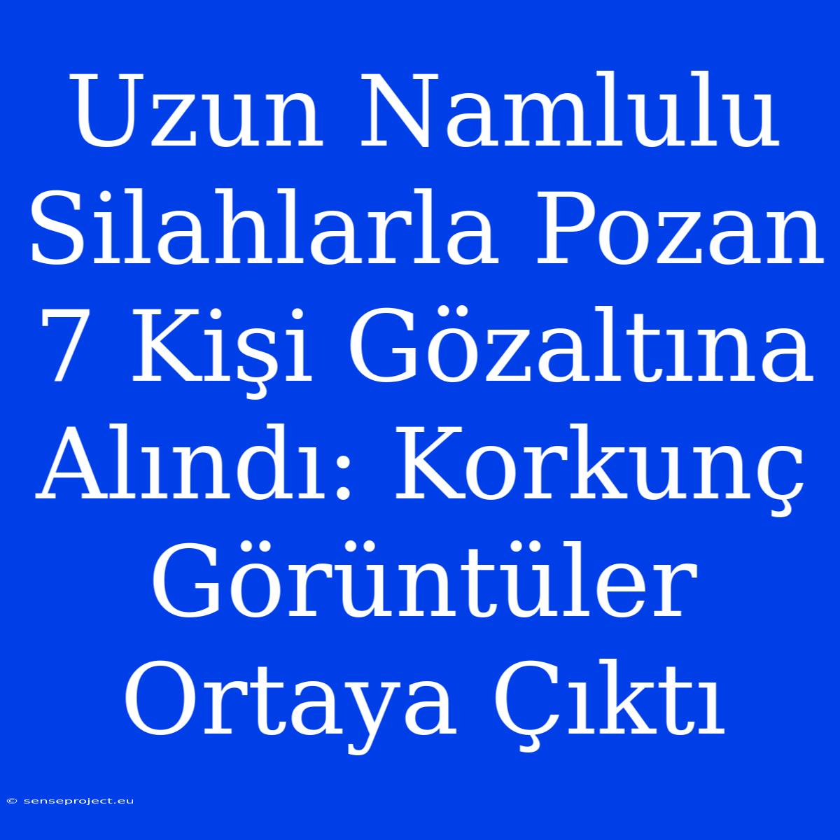 Uzun Namlulu Silahlarla Pozan 7 Kişi Gözaltına Alındı: Korkunç Görüntüler Ortaya Çıktı