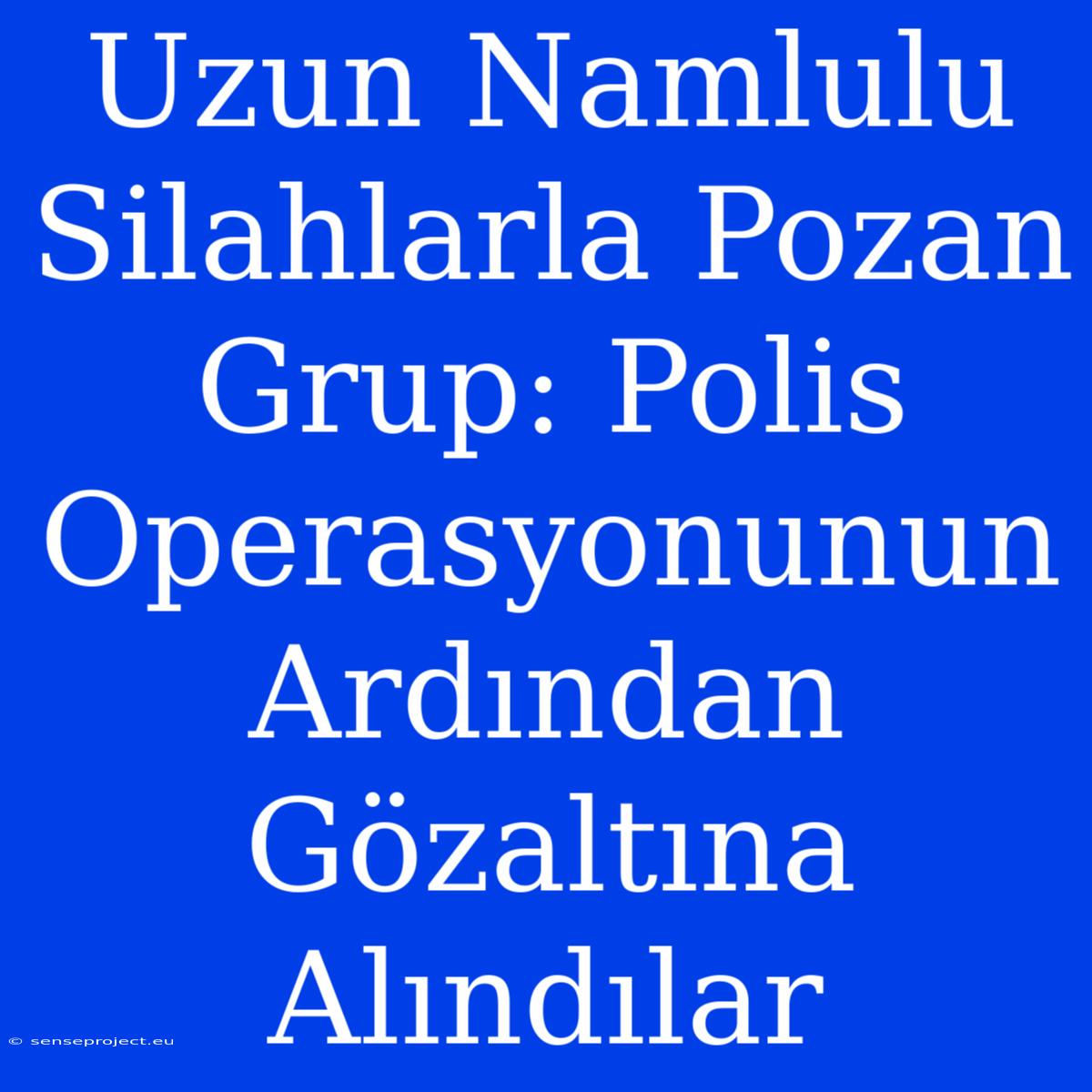 Uzun Namlulu Silahlarla Pozan Grup: Polis Operasyonunun Ardından Gözaltına Alındılar