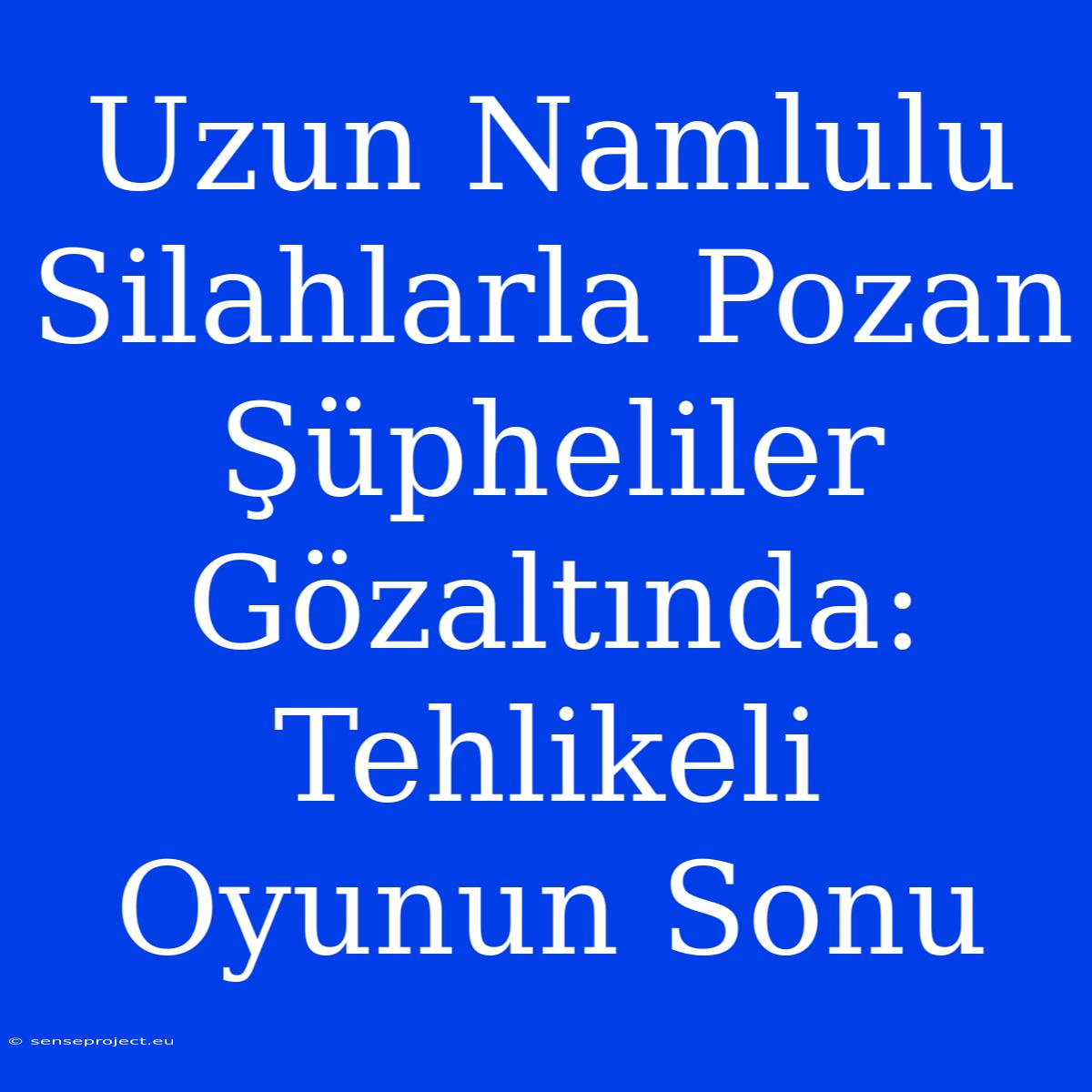 Uzun Namlulu Silahlarla Pozan Şüpheliler Gözaltında: Tehlikeli Oyunun Sonu