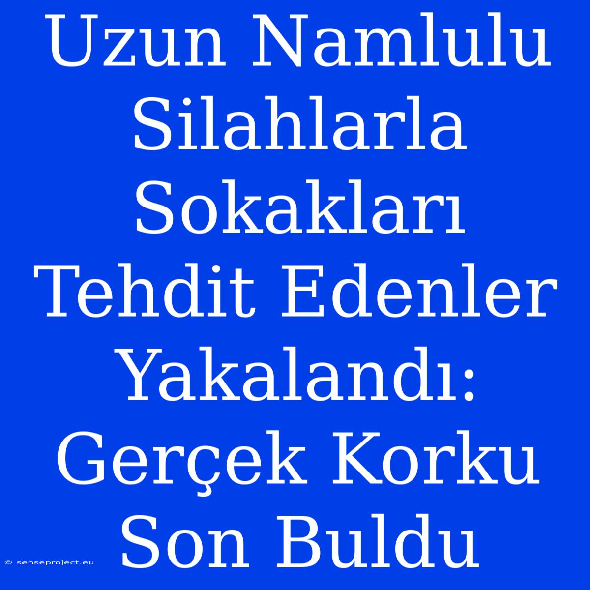 Uzun Namlulu Silahlarla Sokakları Tehdit Edenler Yakalandı: Gerçek Korku Son Buldu