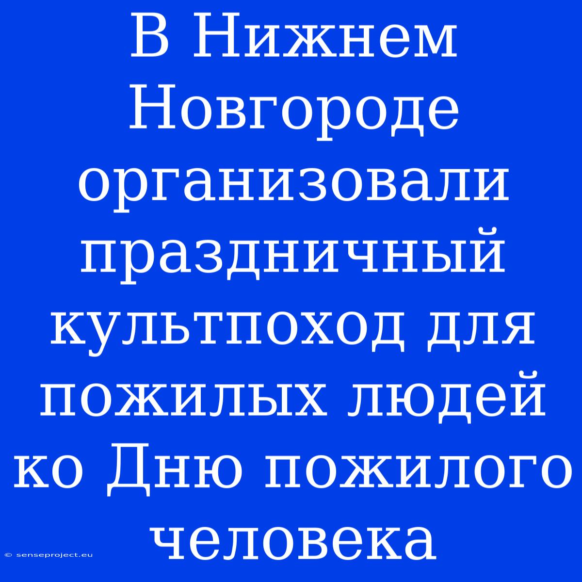 В Нижнем Новгороде Организовали Праздничный Культпоход Для Пожилых Людей Ко Дню Пожилого Человека