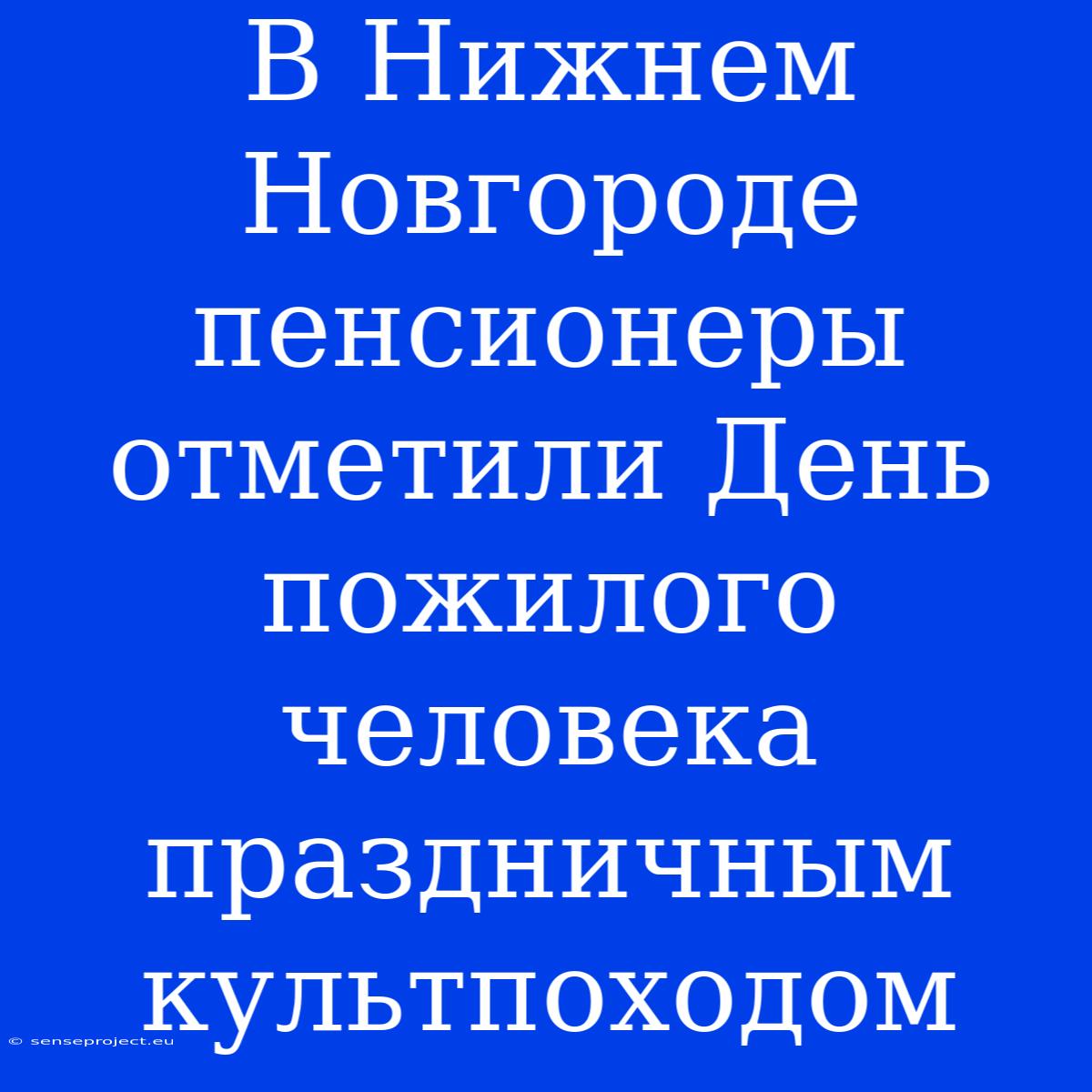 В Нижнем Новгороде Пенсионеры Отметили День Пожилого Человека Праздничным Культпоходом