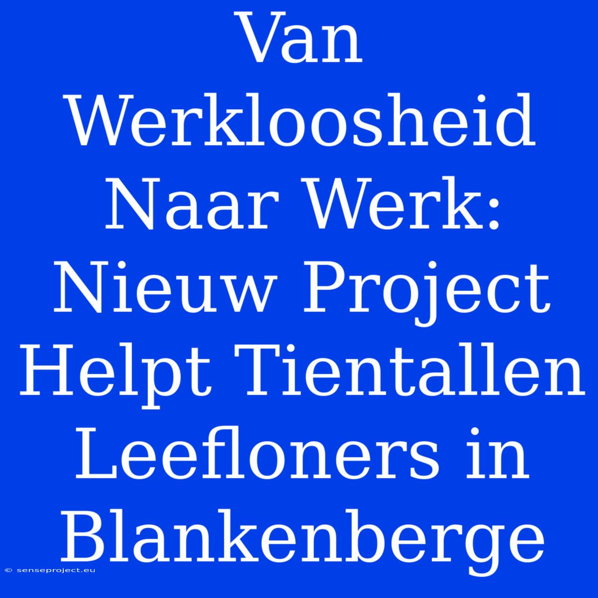 Van Werkloosheid Naar Werk: Nieuw Project Helpt Tientallen Leefloners In Blankenberge