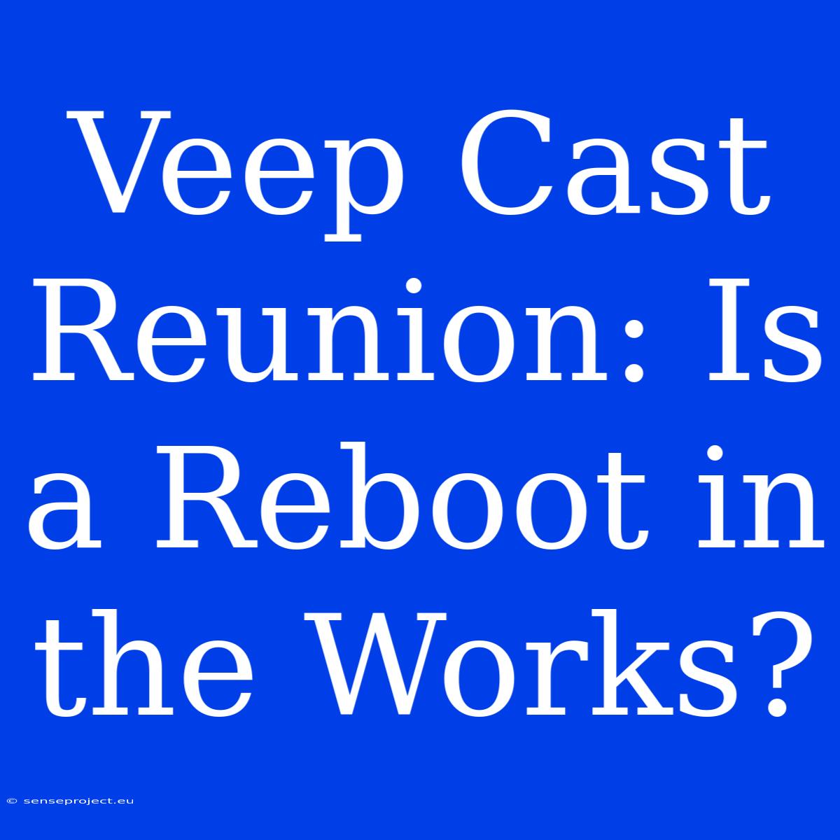 Veep Cast Reunion: Is A Reboot In The Works?