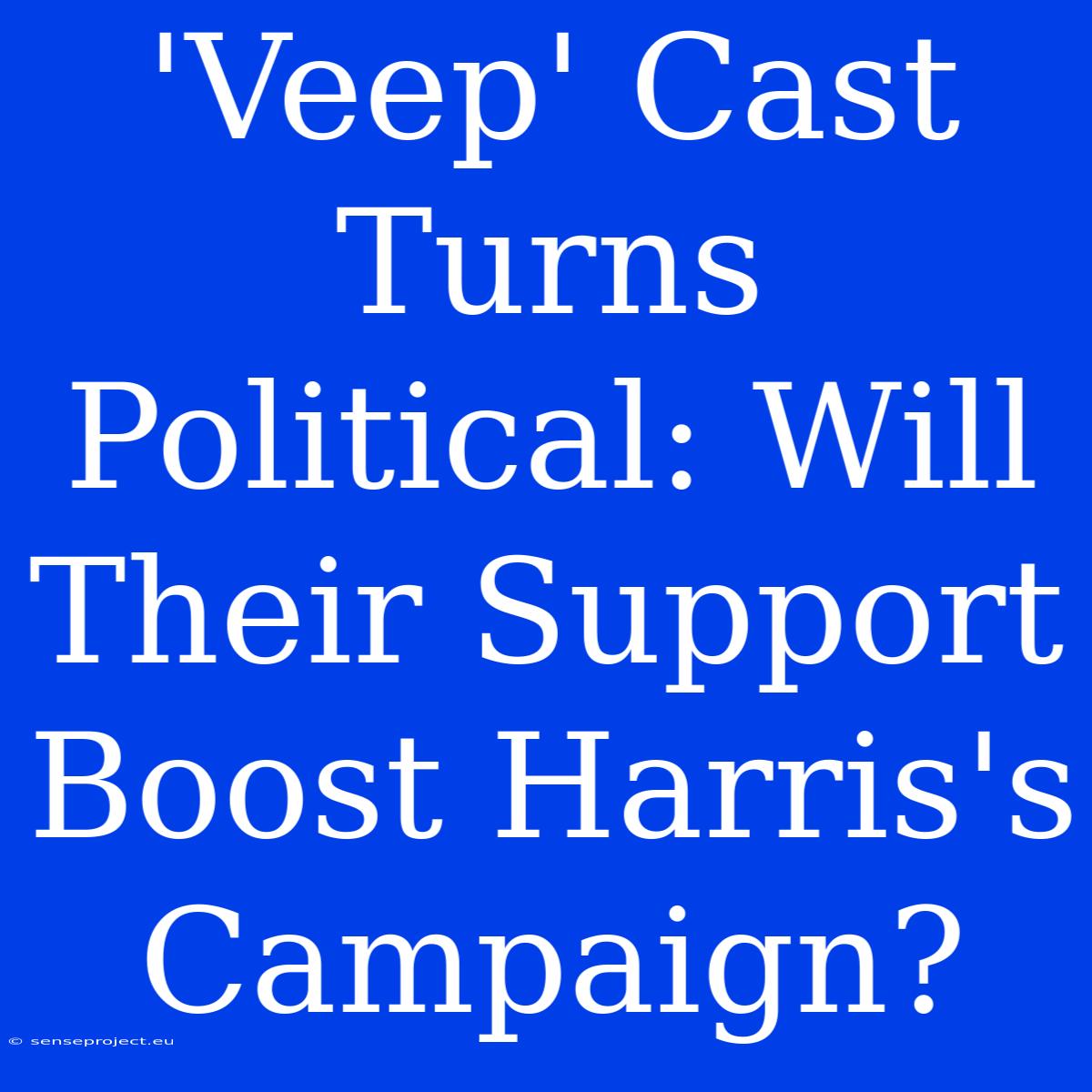 'Veep' Cast Turns Political: Will Their Support Boost Harris's Campaign?