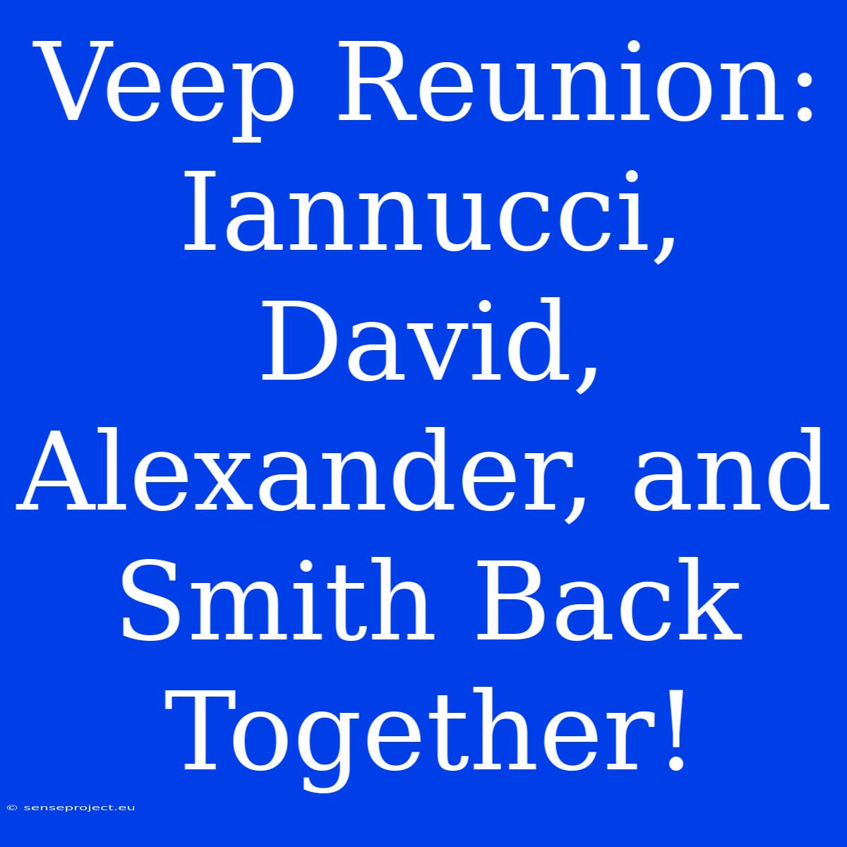 Veep Reunion: Iannucci, David, Alexander, And Smith Back Together!