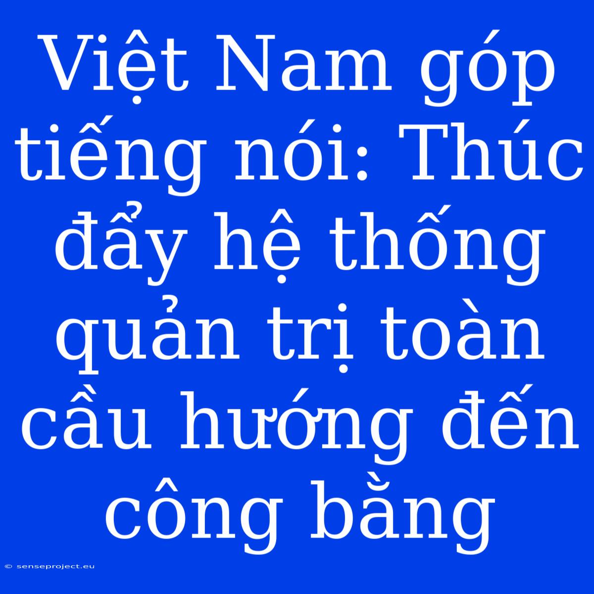 Việt Nam Góp Tiếng Nói: Thúc Đẩy Hệ Thống Quản Trị Toàn Cầu Hướng Đến Công Bằng