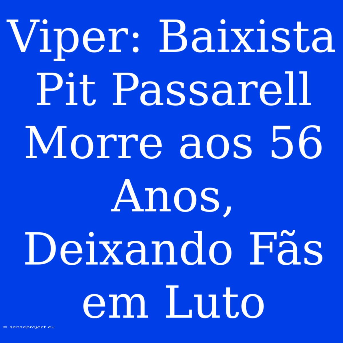 Viper: Baixista Pit Passarell Morre Aos 56 Anos, Deixando Fãs Em Luto