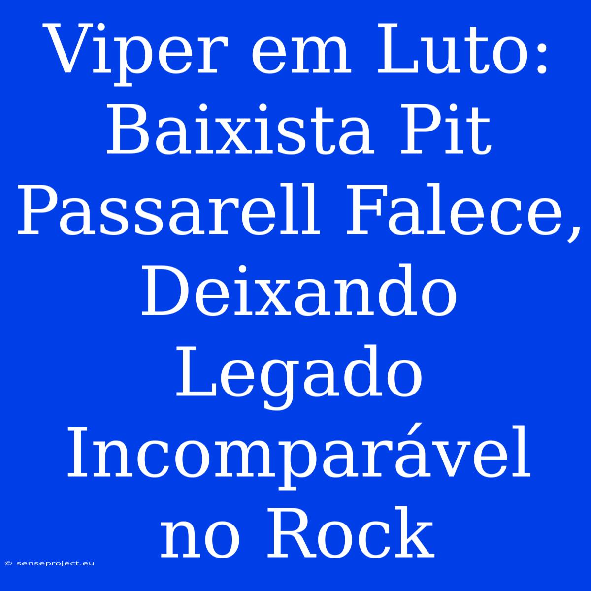 Viper Em Luto: Baixista Pit Passarell Falece, Deixando Legado Incomparável No Rock