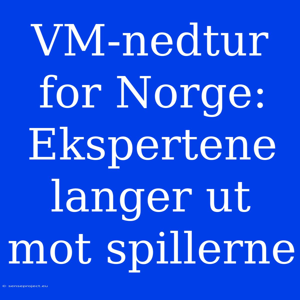 VM-nedtur For Norge:  Ekspertene Langer Ut Mot Spillerne