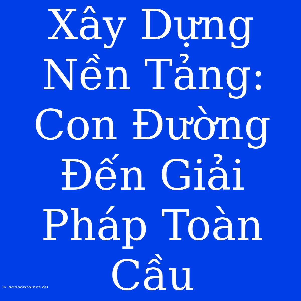 Xây Dựng Nền Tảng: Con Đường Đến Giải Pháp Toàn Cầu